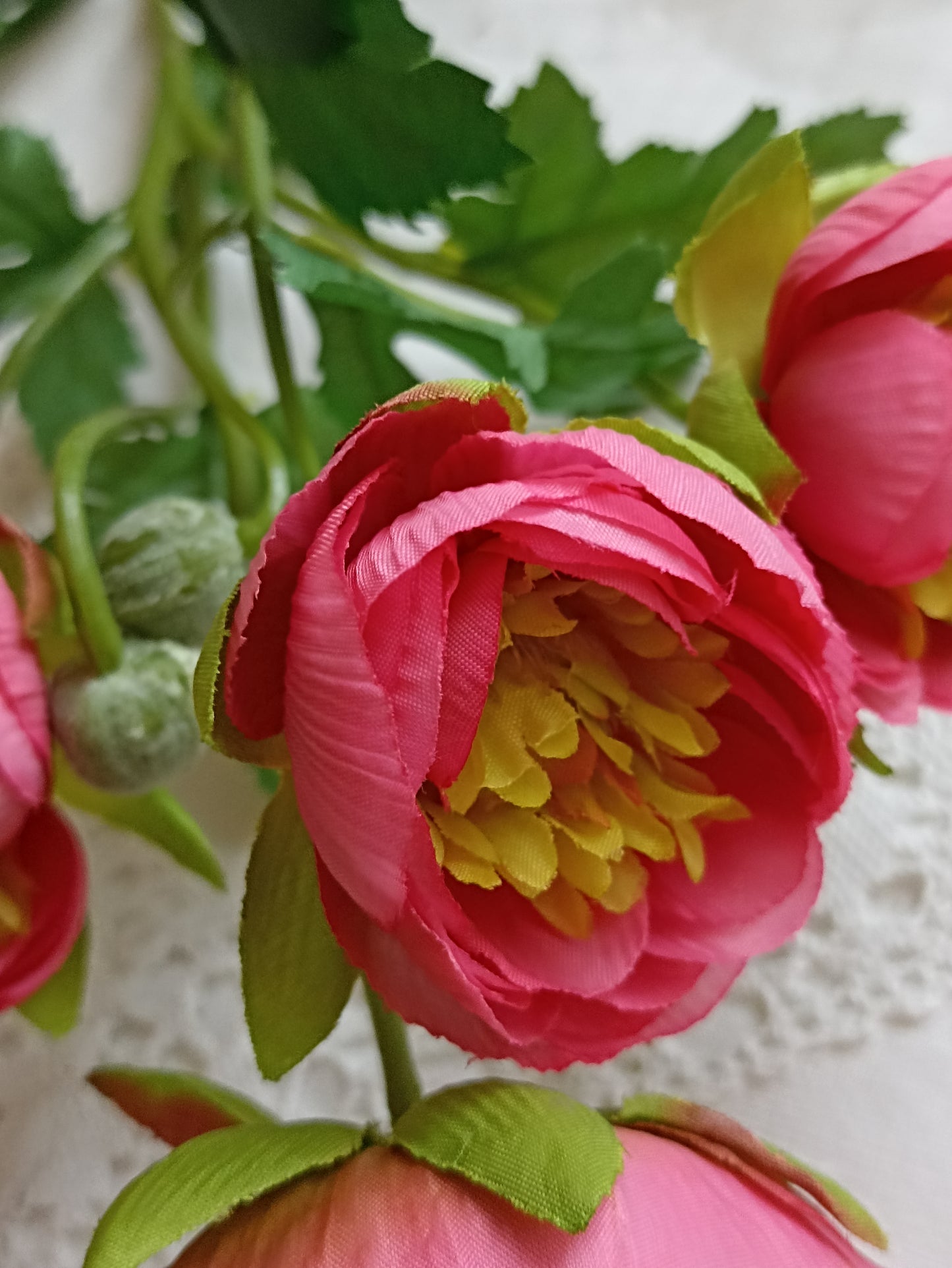 Ranunculus virág